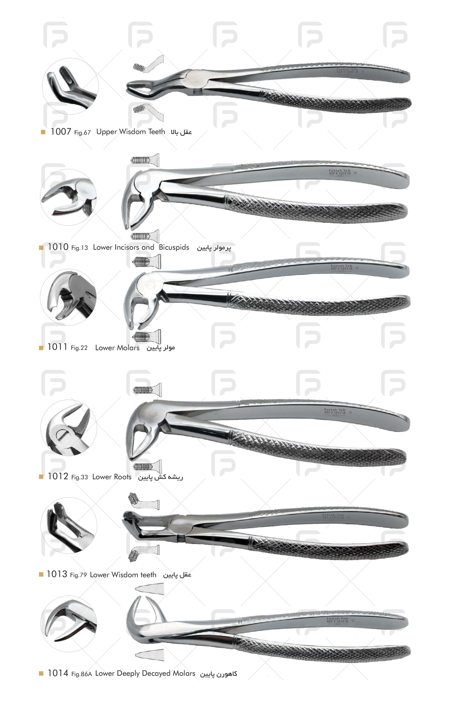 Fattah Teb - Adult Forceps Student Set